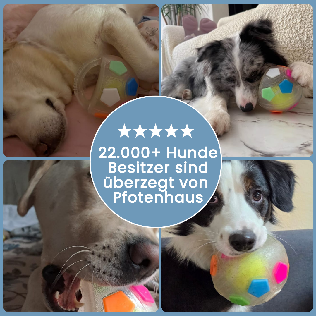 Pfotenhaus™ BalanceBall