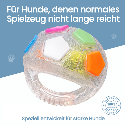 Pfotenhaus™ BalanceBall
