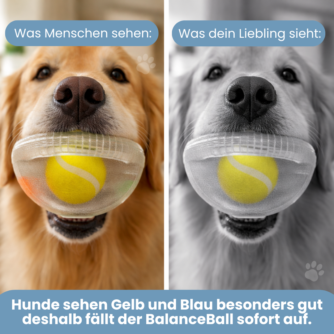 Pfotenhaus™ BalanceBall